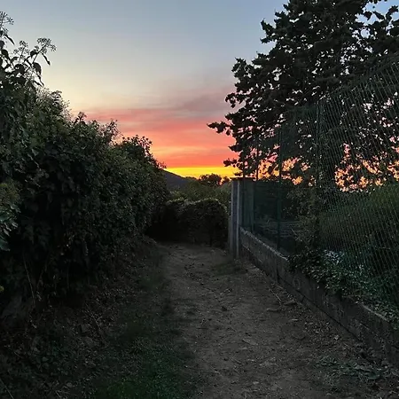 Typical Corsican With Garden 펜션 *