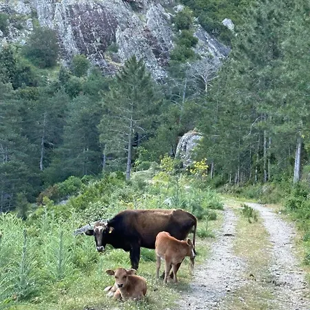 펜션 Typical Corsican With Garden