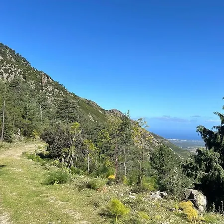 Typical Corsican With Garden 펜션 칼렌자나