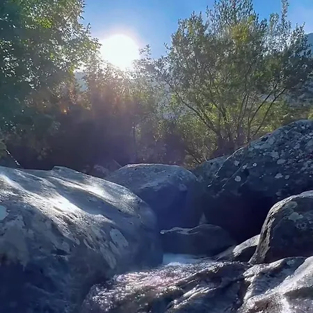 펜션 Typical Corsican With Garden *