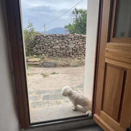 펜션 Typical Corsican With Garden *