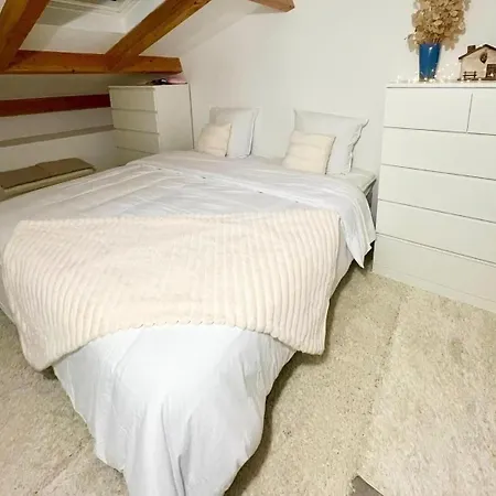 Typical Corsican With Garden Semesterbostad