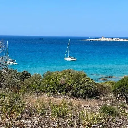 Typical Corsican With Garden
