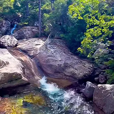 Typical Corsican With Garden Calenzana