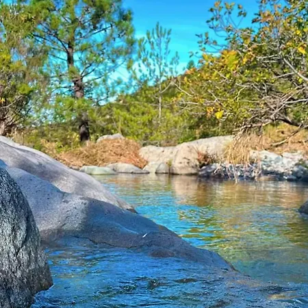 Typical Corsican With Garden Semesterbostad *