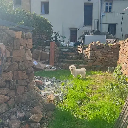 Semesterbostad Typical Corsican With Garden Calenzana
