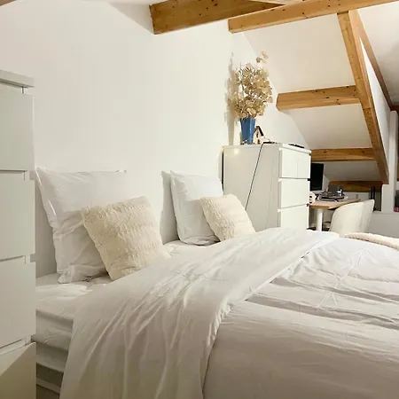 Typical Corsican With Garden Semesterbostad