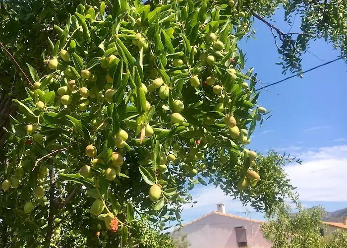 Сasa de vacaciones Typical Corsican With Garden