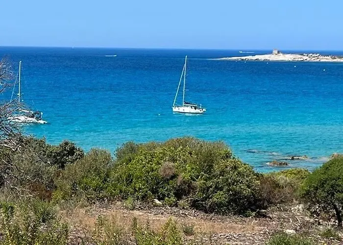 Typical Corsican With Garden