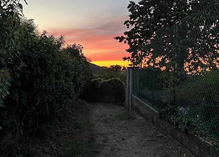 Typical Corsican With Garden Сasa de vacaciones *