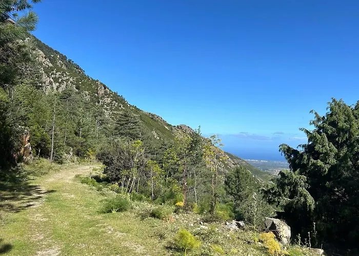 Typical Corsican With Garden Сasa de vacaciones Calenzana