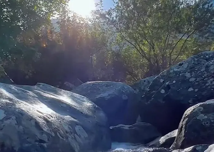 Сasa de vacaciones Typical Corsican With Garden *