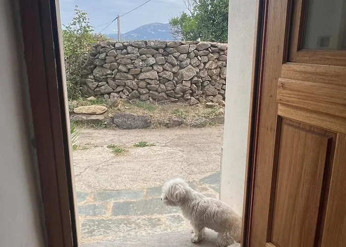 Сasa de vacaciones Typical Corsican With Garden *