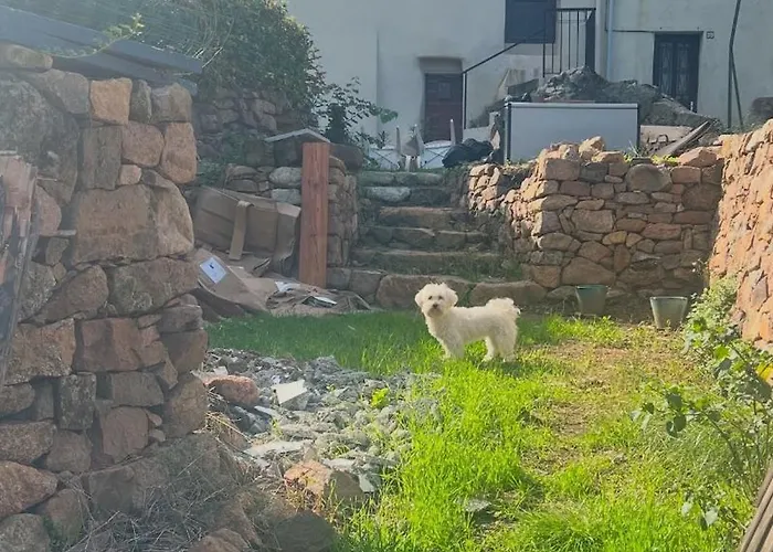 Σπίτι διακοπών Typical Corsican With Garden Calenzana