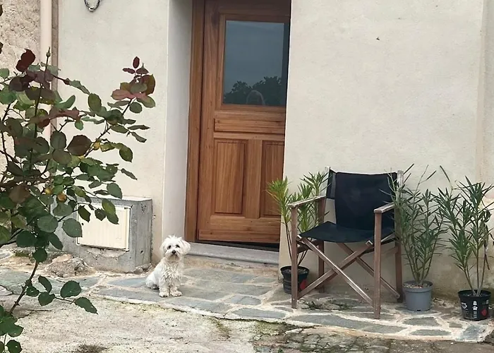 Typical Corsican With Garden * Calenzana